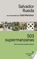 503 supermanzanas