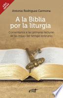 A la Biblia por la liturgia