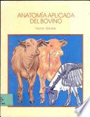 Anatomía aplicada del bovino
