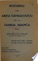 Bosquejo del árbol genealógico de la familio Malpica