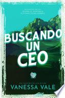 Libro Buscando un CEO