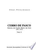 Cerro de Pasco: 1901-1913