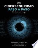 Ciberseguridad paso a paso