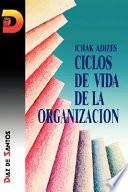 Ciclos de vida de la organización