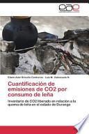 Cuantificación de emisiones de CO2 por consumo de leña