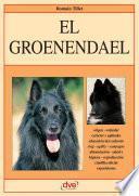 El groenendael