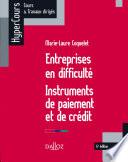 Entreprises en difficulté. Instruments de paiement et de crédit. 6e éd.