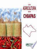 La agricultura en Chiapas
