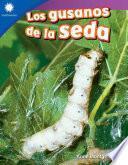 Los gusanos de la seda (Raising Silkworms) 6-Pack
