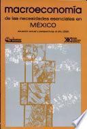 Macroeconomía de las necesidades esenciales en México