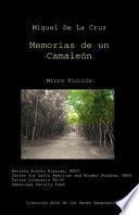 Memorias de un Camaleon