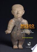 Libro Museo Julio Cesar Cubillos