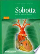 Sobotta Atlas de anatomia humana / Sobotta Atlas of the Human Anatomy