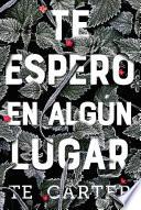 Te espero en algún lugar