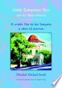 Wide Sargasso Sea & 62 Other Poems
